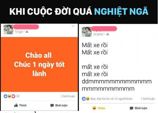  :)  Nghiệt ngã quá :)  :v  -  haivl | hài hước | hài vl   