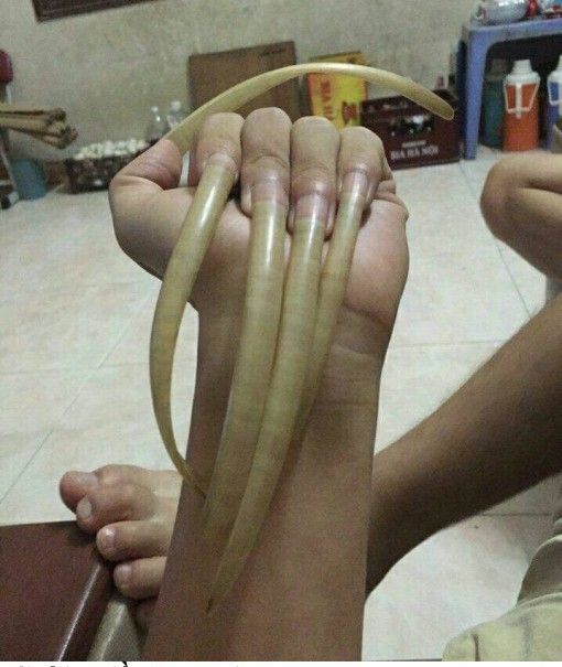  =))  Truyền nhân của cửu âm bạch cốt trảo là đây  =)) 