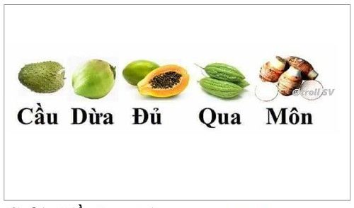  :)  Mâm ngũ quả của sinh viên  <3  -  haivl | hài hước | hài vl  