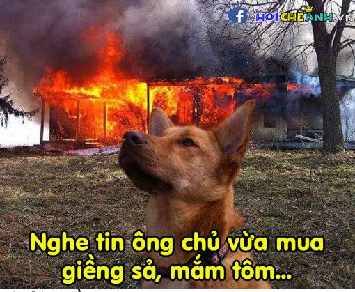  :x  Trời đất...à mà thôi  :)  -  haivl | hài hước | hài vl   