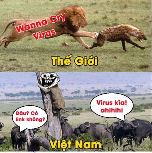  :v  Để ở đây và không nói gì  :x  -  haivl | hài hước | hài vl  