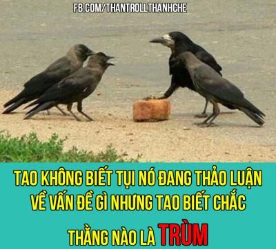  haivl  Chụy Ad đấy :))  :x  -  haivl | hài hước | hài vl   