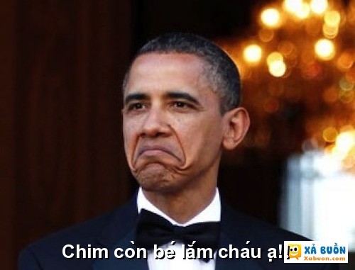 Tuổi gì -  haivl | hài hước | hài vl  